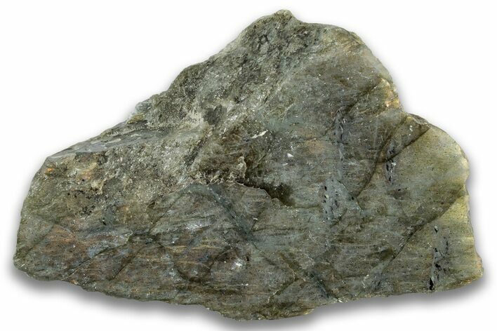 Single Side Polished Labradorite Section - Madagascar #324675